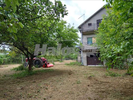 Ripanj put za Pavicevac