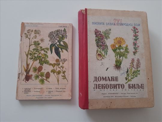 Domaće lekovito bilje i njegova upotreba