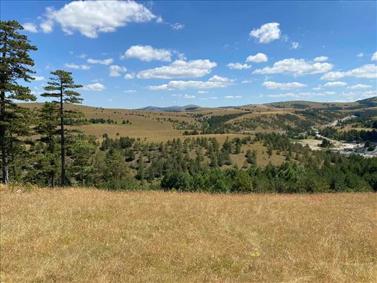 Investiciona prilika na Zlatiboru-Kobilja glava