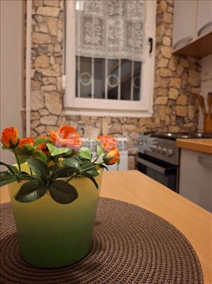 Medak 2,Hanibala Lucica,1.0,30m²