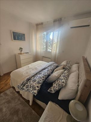 Odlična lokacija, pet friendly