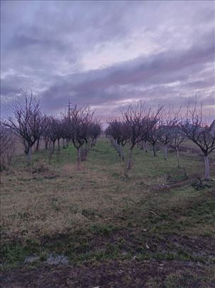 Velika Moštanica, Lipovačka, 21ar, 105.000
