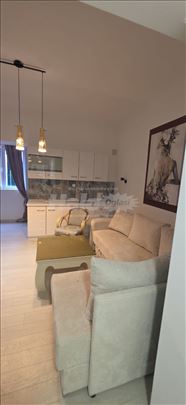 Izdavanje stana na Altini