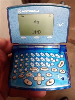 Motorola V 100