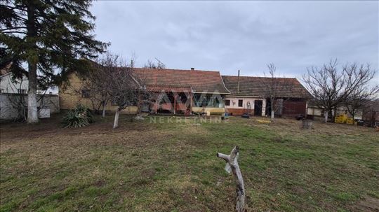 Na prodaju kuća u Bačkom Brestovcu – 235 m², velik