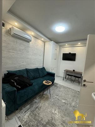 Nova, namestena garsonjera sa privatnim dvoristem