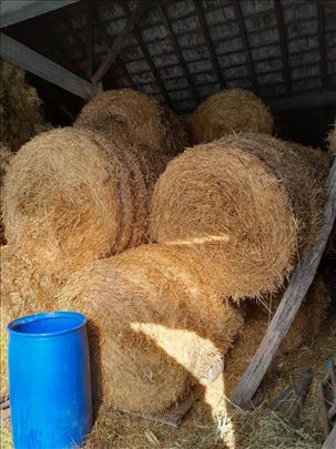 Prodajem slamu od žita i ovsa