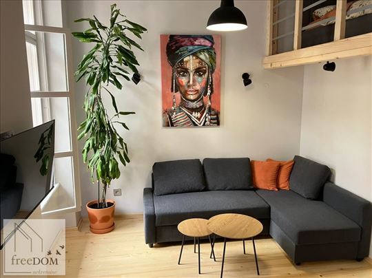 Stan u strogom centru Novog Sada