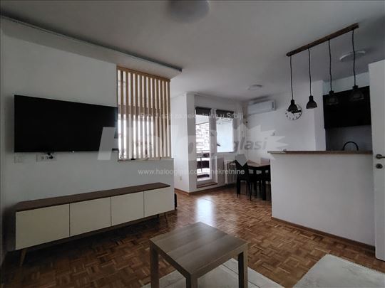 Stan za izdavanje, centar Žarkova, renoviran