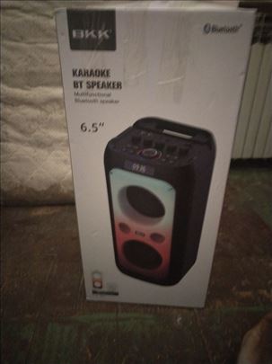 Bluetooth Karaoke zvučnik