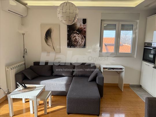 Dvosoban stan u Višnjici sa parking mestom 