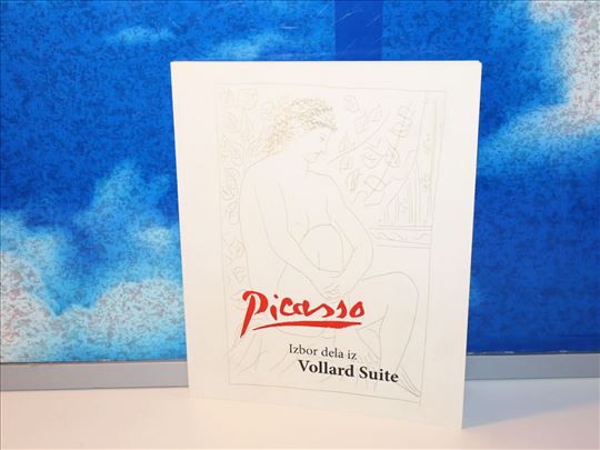 picasso izbor dela iz vollard suite