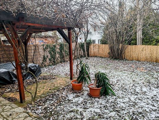 Senjak renovirana kuća sa lepom baštom 260 m2