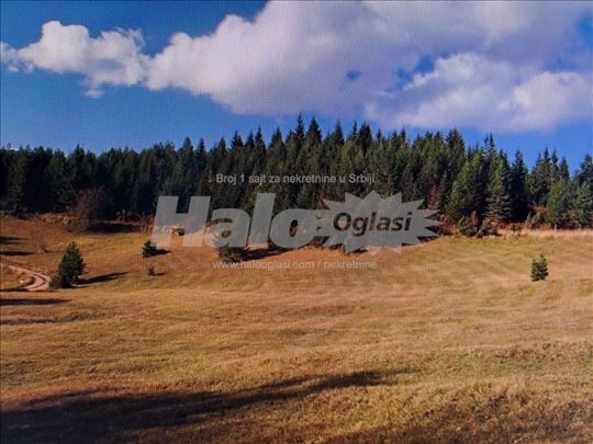 Tara, Sekulić, plac 33 ara