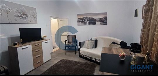 Vračar-Kneginje Zorke, 45m2, vp, cg