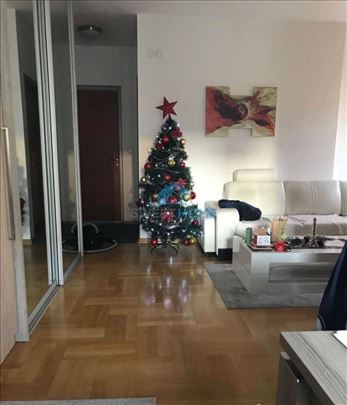 + Zvezdara sf  17781