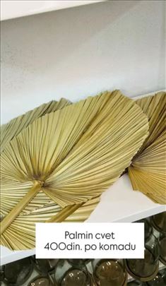 Palmin cvet 