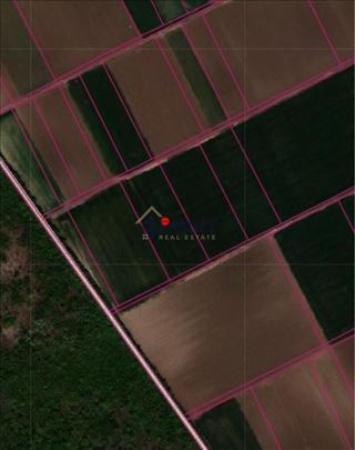 Poljoprivrednono zemljište, Batajnica