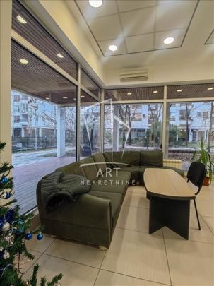 PP 220m2, duplex, Dorćol ID#13816