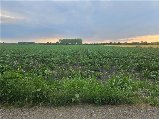 Prodaja placa na dobroj lokaciji