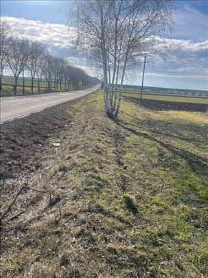 Surduk, 1ha 13 ari, uknjižen 