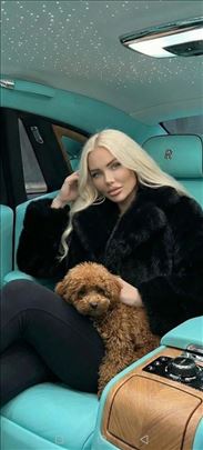  Luxury TOY i Teacup crvena Pudla