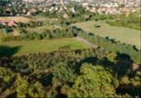 Trešnja, odličan, građevinsko