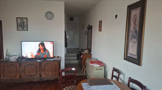 Vršnjička banja Petra Krstić 48m 1.5 vpr namešten