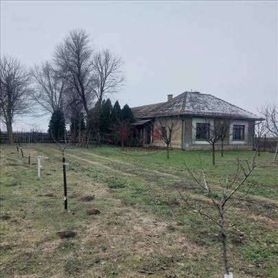 Srbobran - Bečej, Salaš sa izlazom na Beljansku ba