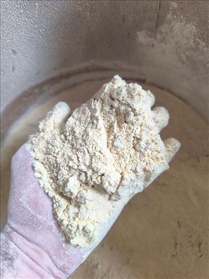 Neizostavan sastojak tehnoplankton tablete