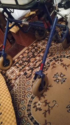 Немачка ходалица 