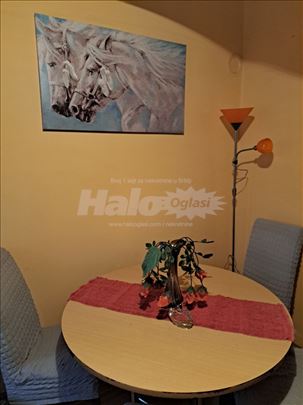 Dvorišni stan 45m2 u centru