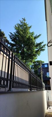 KAPIJE I OGRADE PO MERI – BEOGRAD I OKOLINA