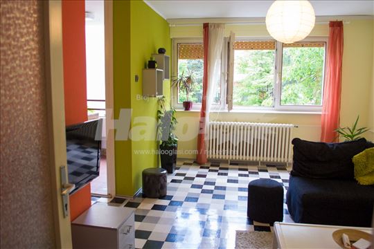 Komforan dvosoban stan na obodu Košutnjaka