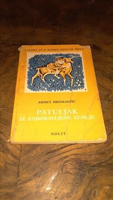 Patuljak iz Zaboravljene zemlje - Ahmet Hromadžić