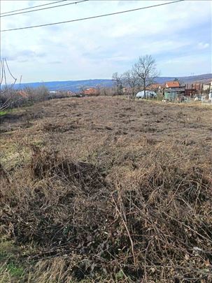 Ibarska magistrala, parcela 42ara