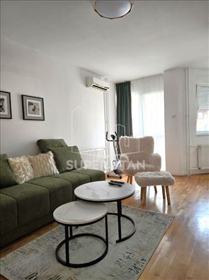 Jednoiposoban u Nedeljka Gvozdenovića