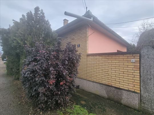 Kuća na prodaju, Bačka Topola