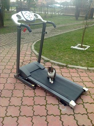 Traka za trčanje, servisirana