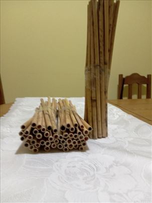 Solitarne pčele i staništa za solitarne pčele 