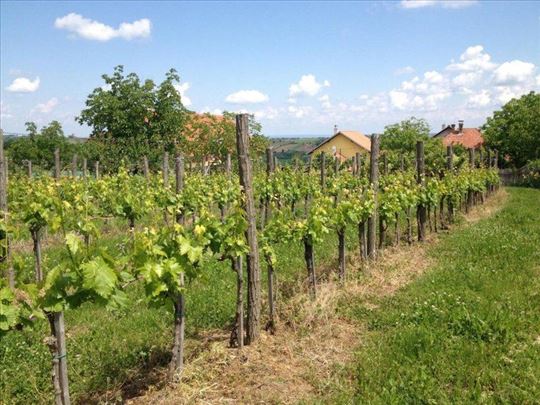 Veoma lep plac 40ari, Šumadija, Oplenac