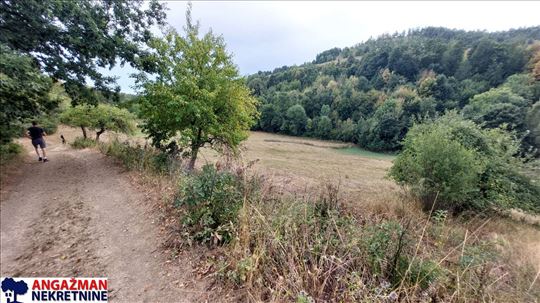 Boljevac, Rtanj - Dobro polje 1ha 3ara 21kvm