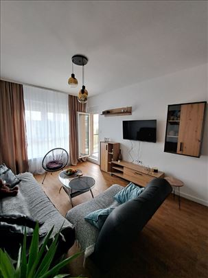 Izdaje se dvosoban stan na Novom Bubnju