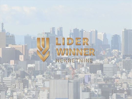 Lux tri apartmana za stan na dan ID#120409