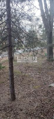 Preporuka agencija, 1.0 Košutnjak ID#100518