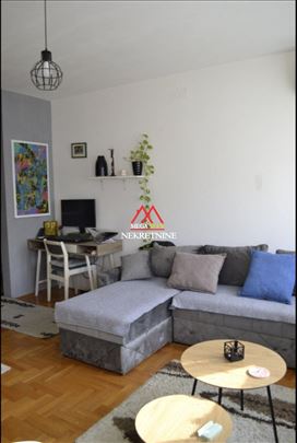 Grbavica - garsonjera - pet friendly