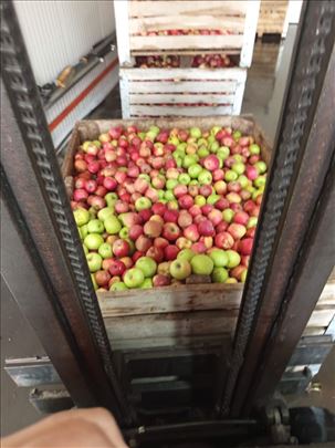 Jabuka za rakiju i preradu- velike kolicine