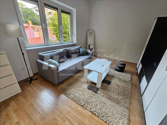 Savski Venac - Bircaninova - Centar - 27m²