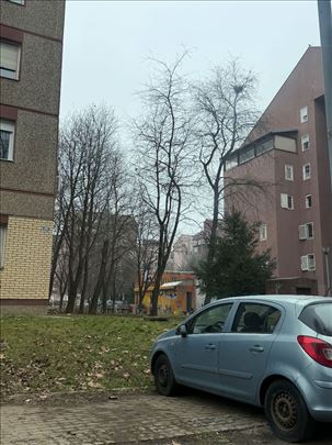 Odličan lokal 42m2+8m2 galerija