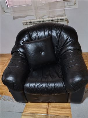 Dvosed i fotelja koža